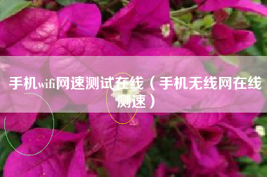 手机wifi网速测试在线（手机无线网在线测速）