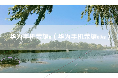 华为手机荣耀6（华为手机荣耀60se）