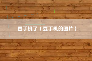 耍手机了（耍手机的图片）