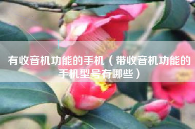 有收音机功能的手机（带收音机功能的手机型号有哪些）