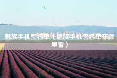 魅族手机黑名单（魅族手机黑名单在哪里看）