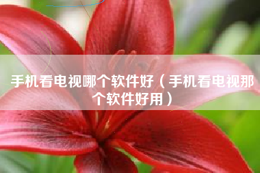 手机看电视哪个软件好（手机看电视那个软件好用）