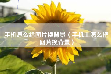 手机怎么给图片换背景（手机上怎么把图片换背景）