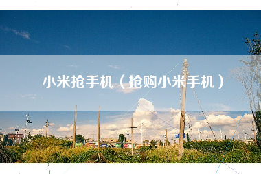 小米抢手机（抢购小米手机）