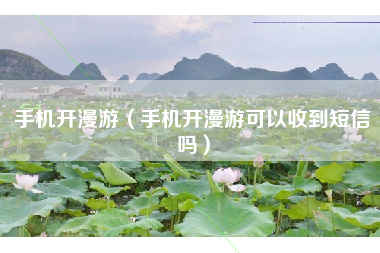 手机开漫游（手机开漫游可以收到短信吗）