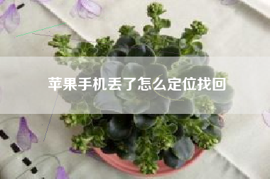 苹果手机丢了怎么定位找回