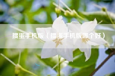 掼蛋手机版（掼蛋手机版哪个好）