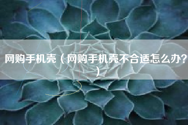 网购手机壳（网购手机壳不合适怎么办？）
