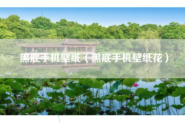 黑底手机壁纸（黑底手机壁纸花）