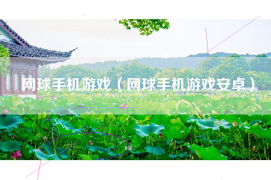 网球手机游戏（网球手机游戏安卓）