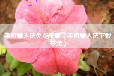 手机输入法免费下载（手机输入法下载安装）