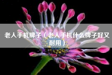 老人手机牌子（老人手机什么牌子好又耐用）