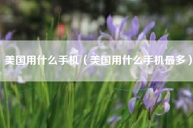 美国用什么手机（美国用什么手机最多）