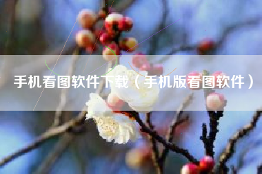 手机看图软件下载（手机版看图软件）