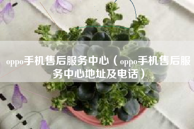 oppo手机售后服务中心（oppo手机售后服务中心地址及电话）