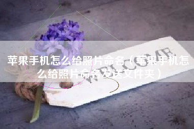 苹果手机怎么给照片命名（苹果手机怎么给照片命名发送文件夹）