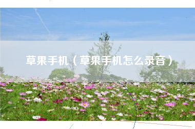 草果手机（草果手机怎么录音）