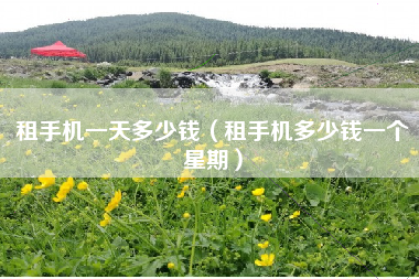 租手机一天多少钱（租手机多少钱一个星期）