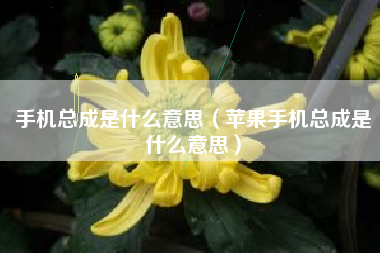 手机总成是什么意思（苹果手机总成是什么意思）