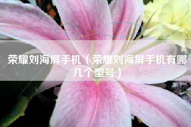 荣耀刘海屏手机（荣耀刘海屏手机有哪几个型号）