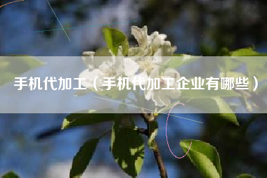 手机代加工（手机代加工企业有哪些）