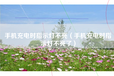 手机充电时指示灯不亮（手机充电时指示灯不亮了）