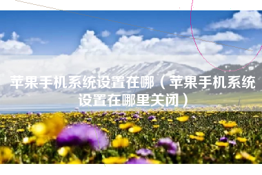 苹果手机系统设置在哪（苹果手机系统设置在哪里关闭）