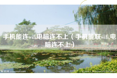 手机能连wifi电脑连不上（手机能联wifi,电脑连不上）