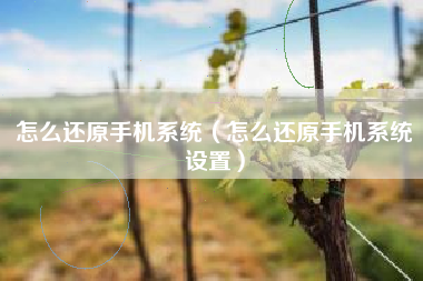 怎么还原手机系统（怎么还原手机系统设置）