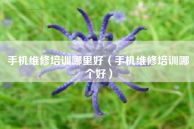 手机维修培训哪里好（手机维修培训哪个好）