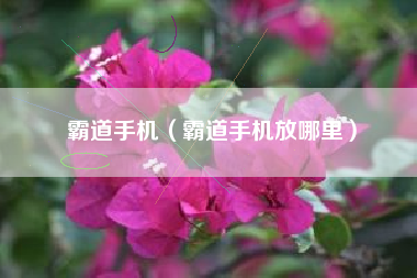 霸道手机（霸道手机放哪里）
