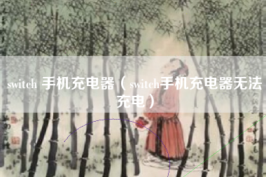 switch 手机充电器（switch手机充电器无法充电）