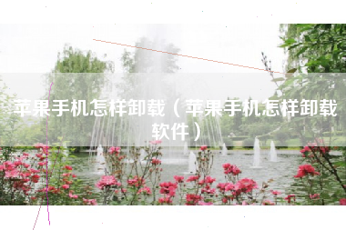 苹果手机怎样卸载（苹果手机怎样卸载软件）