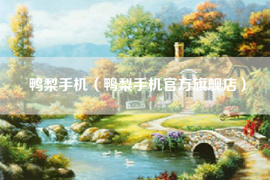 鸭梨手机（鸭梨手机官方旗舰店）