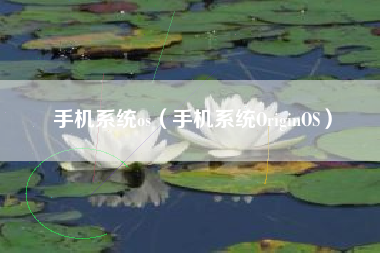 手机系统os（手机系统OriginOS）