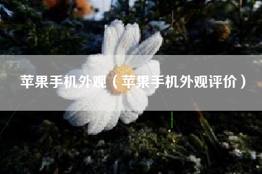 苹果手机外观（苹果手机外观评价）