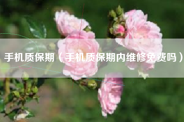 手机质保期（手机质保期内维修免费吗）