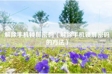 解除手机锁屏密码（解除手机锁屏密码的方法）
