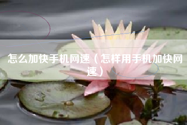 怎么加快手机网速（怎样用手机加快网速）