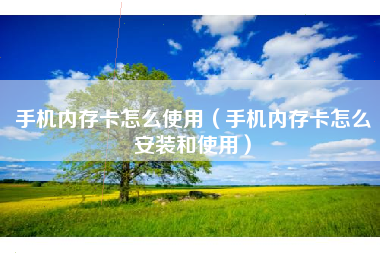 手机内存卡怎么使用（手机内存卡怎么安装和使用）