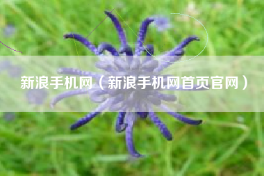 新浪手机网（新浪手机网首页官网）