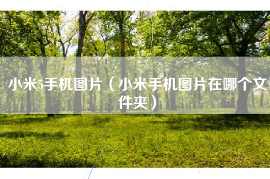 小米5手机图片（小米手机图片在哪个文件夹）