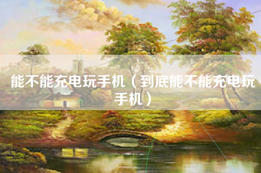 能不能充电玩手机（到底能不能充电玩手机）