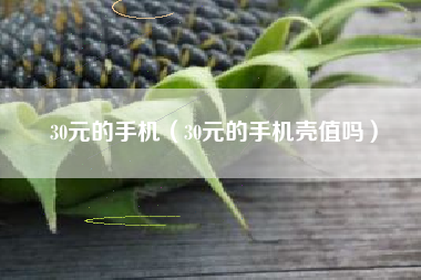 30元的手机（30元的手机壳值吗）