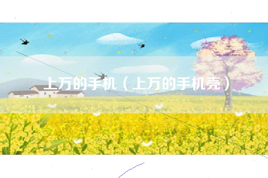 上万的手机（上万的手机壳）