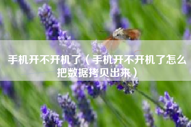 手机开不开机了（手机开不开机了怎么把数据拷贝出来）