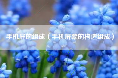 手机屏的组成（手机屏幕的构造组成）