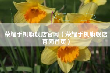 荣耀手机旗舰店官网（荣耀手机旗舰店官网首页）