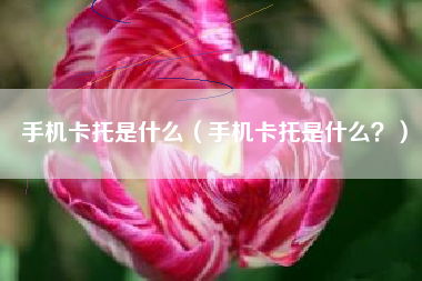 手机卡托是什么（手机卡托是什么？）