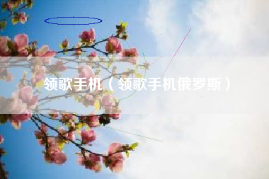领歌手机（领歌手机俄罗斯）